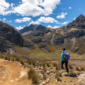 Mechanical Stretch Woven Platforms