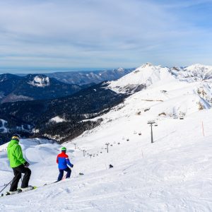 Piece-Dyed & Tone-on-Tone Wovens